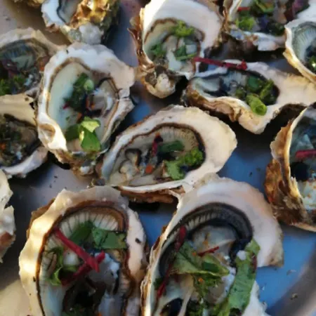 Parenthèse Et Douceur