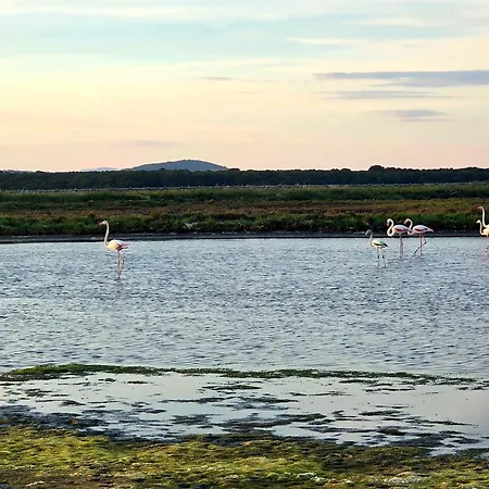 Parenthese Et Douceur Апартаменты