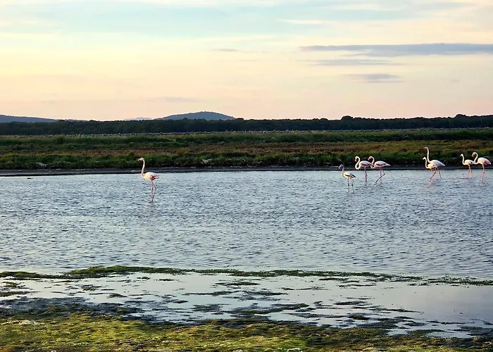 Parenthese Et Douceur Апартаменты